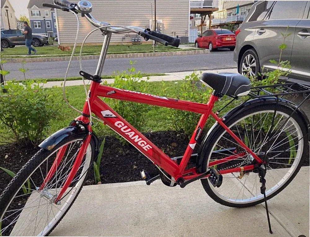 New City Bicycle come with Stand and Bell