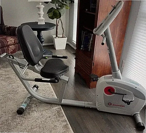 Schwinn Biodyne Performance Recumbent Seated Bike
